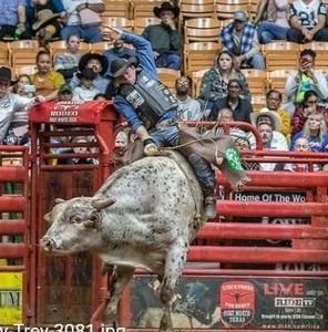 Meet your Posher, George